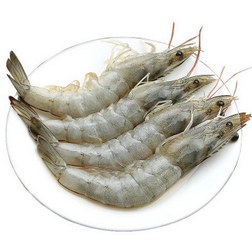 四只大个儿的河虾对虾美食河鲜图片免抠素材