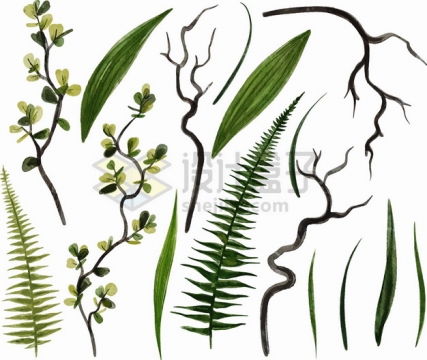 蕨类植物竹子的叶子和枯枝png图片素材