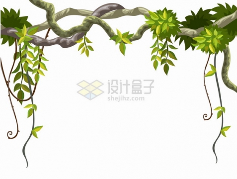 卡通热带雨林树枝和藤蔓装饰png图片素材