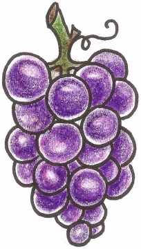 手绘涂鸦紫色葡萄png图片素材