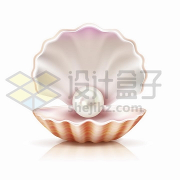 打开的珍珠母贝壳中露出的一颗珍珠png图片免抠矢量素材