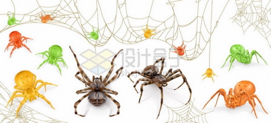 各种蜘蛛网和五颜六色的蜘蛛297647图片免抠矢量素材