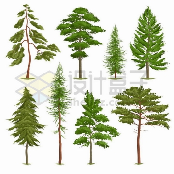 8款翠绿色的松树大树png图片免抠矢量素材