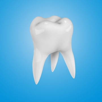 一颗白色的立体牙齿人体组织器官图片免抠素材