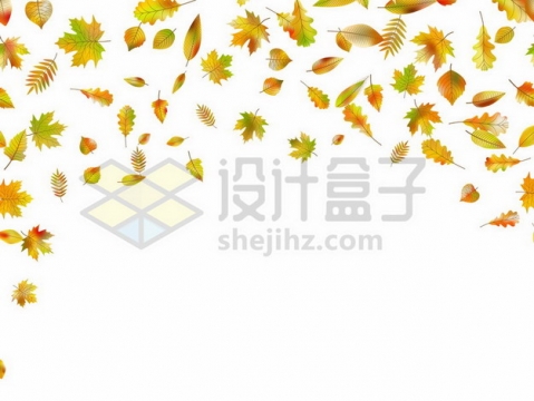飘落的秋天树叶装饰877774png矢量图片素材