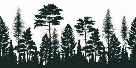 松树组成的树林剪影png图片免抠矢量素材