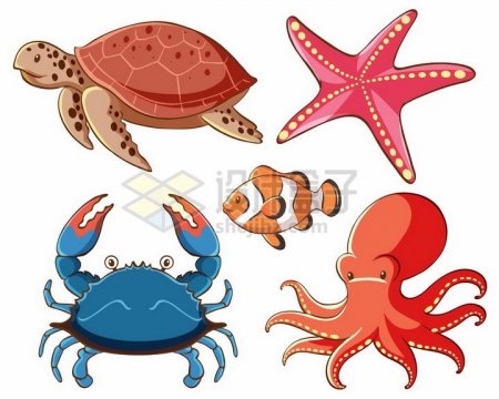 卡通海龟海星螃蟹小丑鱼和章鱼等海洋动物png图片免抠矢量素材