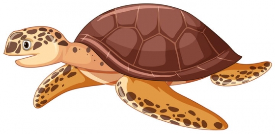 棕色的卡通海龟海洋野生动物爬行动物图片免抠矢量素材