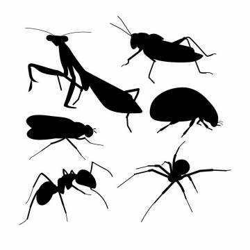螳螂甲虫蚂蚁蜘蛛等昆虫虫子剪影png图片免抠矢量素材