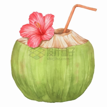 打开的美味水果椰子和芙蓉花水彩插画png图片素材