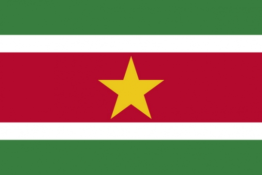 标准版苏里南国旗图片素材