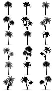 18款不同风格的热带树木椰子树剪影免抠矢量图片素材