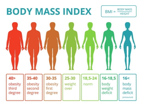 扁平化风格减肥身体质量指数BMI对照表示意图免扣图片素材