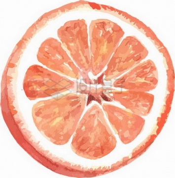 切开的红心柚子暹罗柚水彩画png图片素材