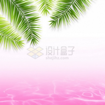夏天的热带椰树叶和粉红色水面效果8643675png图片素材