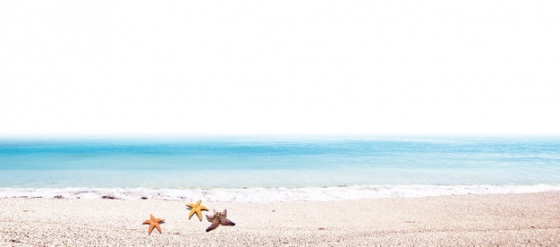 蓝色的大海和海滩沙滩上的海星旅游风景区760594png图片素材