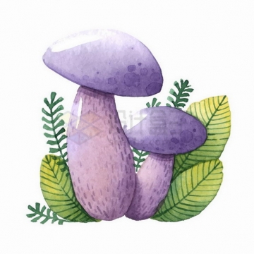 彩绘风格紫色的蘑菇和树叶png图片免抠矢量素材