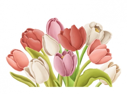 捏橡皮泥手工制作的粉色白色百合花鲜花花朵作品图片设计模板素材