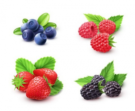 蓝莓树莓草莓桑葚等四种水果图片免扣素材