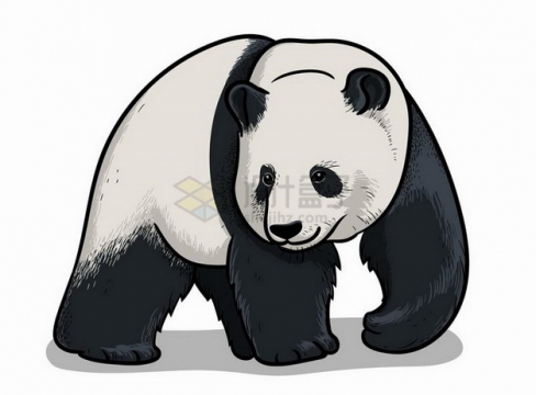 手绘插图大熊猫野生动物png图片免抠矢量素材