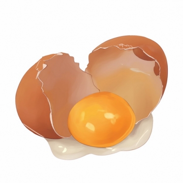 一颗打碎的鸡蛋露出蛋清和蛋黄324507图片素材