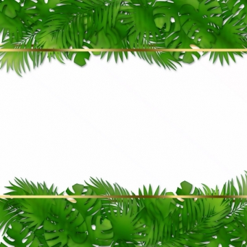 热带绿叶树叶装饰的金色边框751038png图片素材