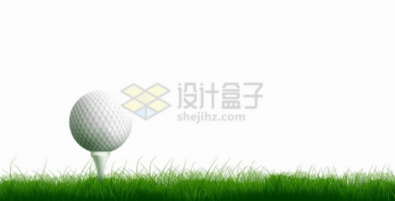 草坪上放在球座上的高尔夫球体育运动png图片素材
