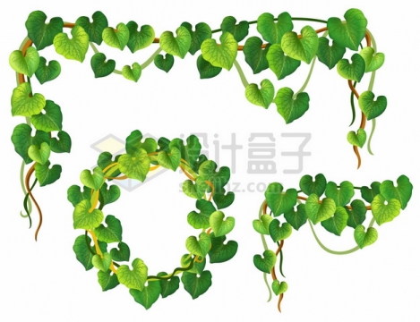 3款绿色树叶藤蔓装饰430761png图片素材