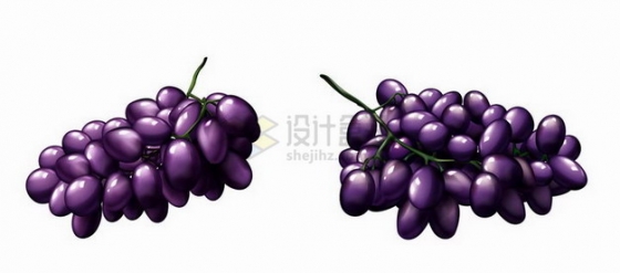 两串紫葡萄提子725536png矢量图片素材