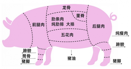 猪肉各部位图解图片