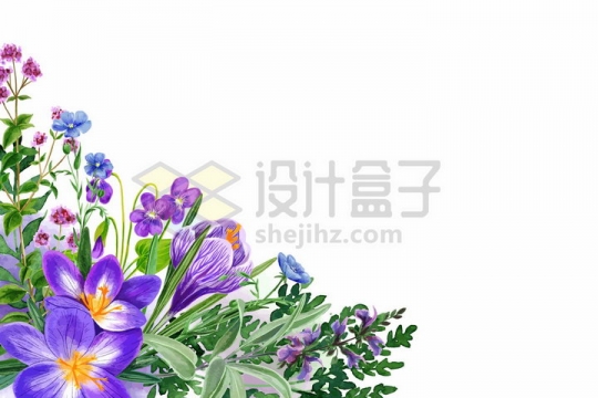紫色桔梗野花鲜花花朵装饰彩绘插画png图片免抠矢量素材
