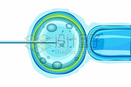 蓝色人工授精针尖刺入卵细胞中注入精子357613png矢量图片素材