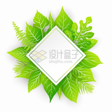 绿色树叶装饰的菱形边框文本框标题框png图片免抠矢量素材