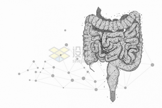 圆点和线条组成的大肠人体消化系统组织器官png图片素材