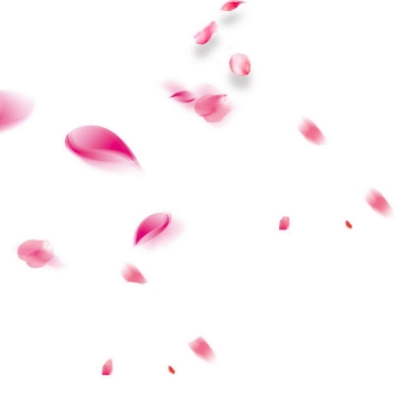 粉色桃花樱花花瓣图片装饰免抠素材