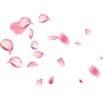 粉色的玫瑰花花瓣图片免抠素材