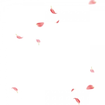 零零碎碎飘落的粉色花瓣装饰图片素材