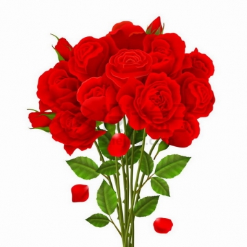 一束盛开的红色玫瑰花花朵花瓣鲜花821186png矢量图片素材