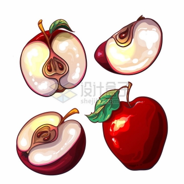 切块的红苹果美味水果彩绘插画png图片免抠矢量素材