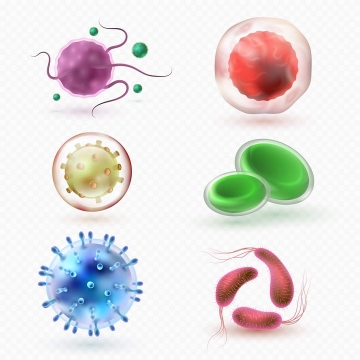 6种逼真的立体细胞细菌病毒生物学医疗学免扣图片素材