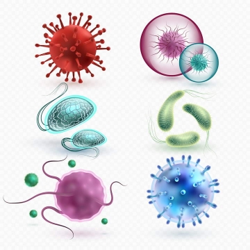 6种逼真的立体细胞细菌病毒医疗生物类免扣图片素材
