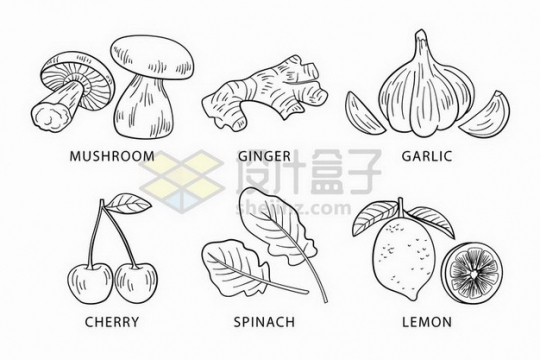 蘑菇生姜大蒜樱桃生菜柠檬等蔬菜水果线条素描插画png图片免抠矢量素材