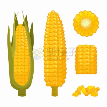卡通金黄色的玉米切片的玉米和玉米粒png图片免抠矢量素材