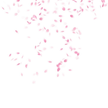 模糊飘落的粉色花瓣装饰素材
