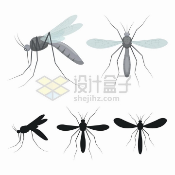 扁平插画风格蚊子和蚊子剪影小昆虫png图片免抠矢量素材