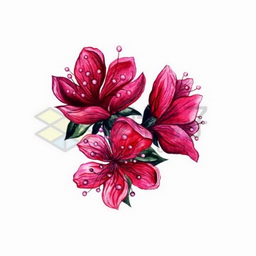 红色的梅花鲜花花朵彩绘插画png图片免抠矢量素材