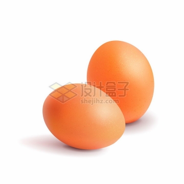 两颗逼真的鸡蛋png图片免抠矢量素材