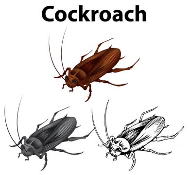 彩色和白色的手绘蟑螂消灭害虫图片免抠矢量素材
