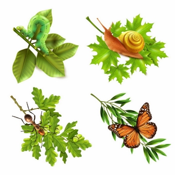 树叶上的毛毛虫蜗牛蚂蚁和蝴蝶等小昆虫png图片免抠矢量素材
