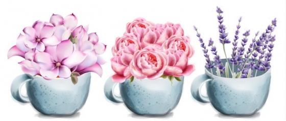 3款漂亮的茶杯中的花朵花卉鲜花免抠图片素材